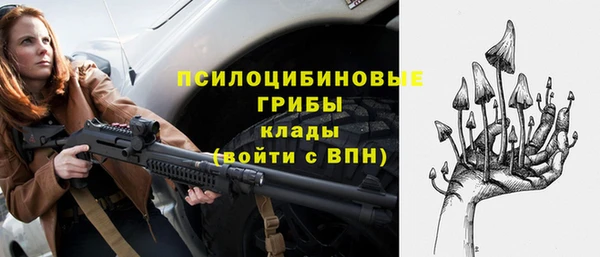 стаф Арсеньев
