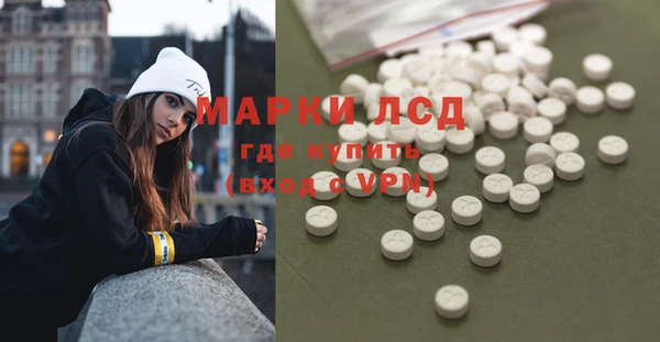 стаф Арсеньев