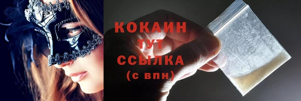 стаф Арсеньев