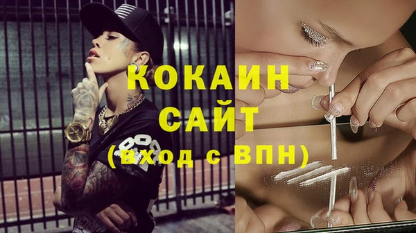 стаф Арсеньев
