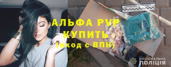 стаф Арсеньев