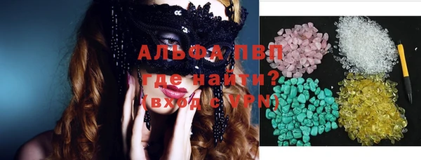 стаф Арсеньев