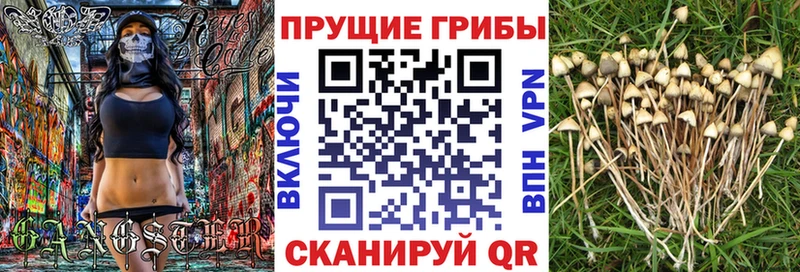 Псилоцибиновые грибы мухоморы  Рыльск 