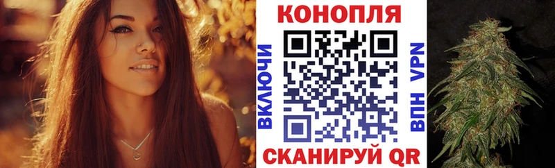 Бошки Шишки ГИДРОПОН  где продают   Рыльск 